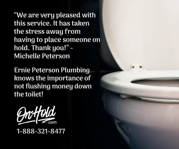 Ernie Peterson Plumbing knows the importance of not flushing money down the toilet!