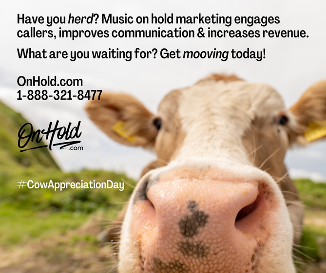 Increase revenue with music on hold marketing. 