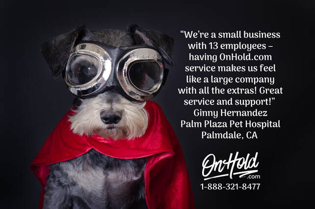 Veterinary Music On Hold Review from Palm Plaza Pet Hospital