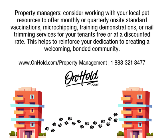 Property managers: consider working with your local pet resources to offer monthly or quarterly onsite standard vaccinations, microchipping, training demonstrations, or nail trimming services for your tenants free or at a discounted rate. This helps to reinforce your dedication to creating a welcoming, bonded community.