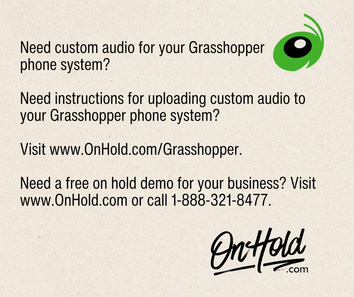 Grasshopper Custom Audio Instructions 