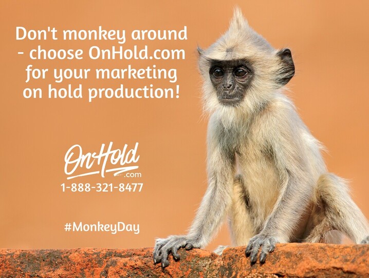 Don't monkey around - choose OnHold.com for your marketing on hold production! 