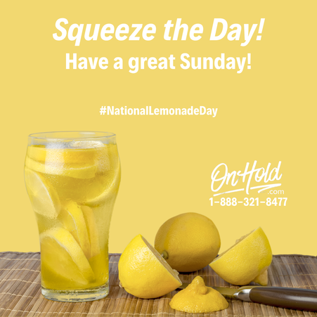 National Lemonade Day 2022