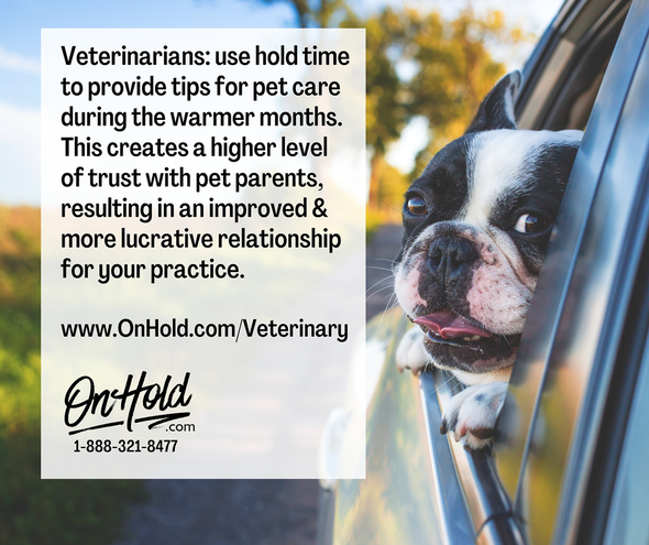 Veterinarians: with the weather heating up, use hold time to provide tips for pet care during the warmer months. This creates a higher level of trust with pet parents, resulting in an improved & more lucrative relationship for your practice.  