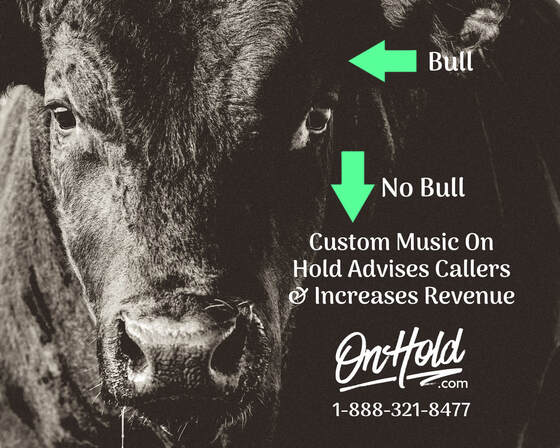 Custom Music On Hold Advises Callers & Increases Revenue ... and that’s NO Bull!