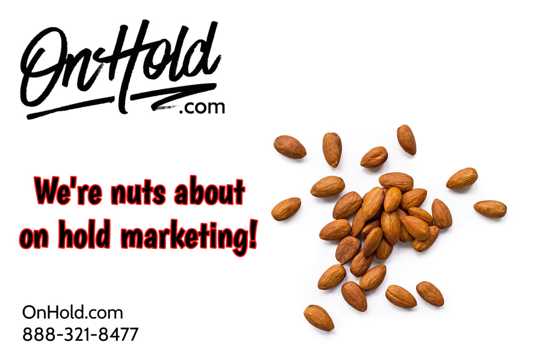 OnHold.com - We're Nuts About On Hold!