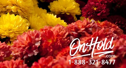 Florist Seasonal Marketing