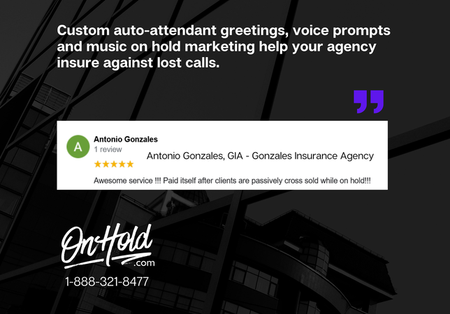 Gonzales Insurance Agency On Hold Review