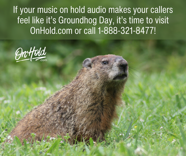 Stop On Hold Groundhog Day - Entertain Callers with Custom Music On Hold! 