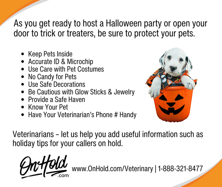 Halloween Party and Trick or Treating Pet Safety Guidance