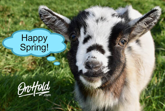 Happy Spring!