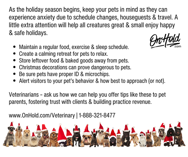 As the holiday season begins, keep your pets in mind as they can experience anxiety due to schedule changes, houseguests & travel. A little extra attention will help all creatures great & small enjoy happy & safe holidays.