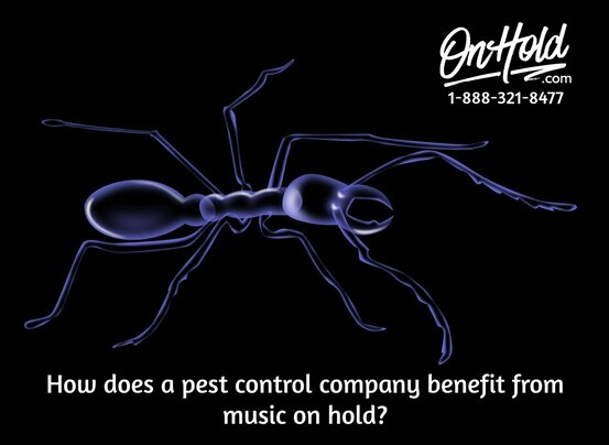 How does a pest control company benefit from music on hold?