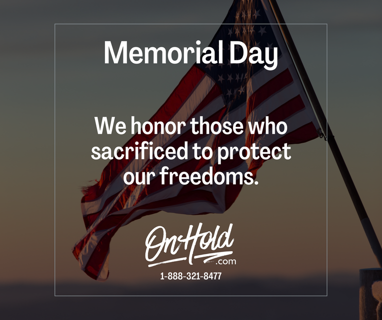 We honor those who sacrificed to protect our freedoms.