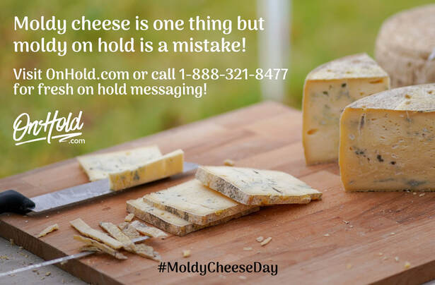 Moldy cheese is one thing but moldy on hold is a mistake!