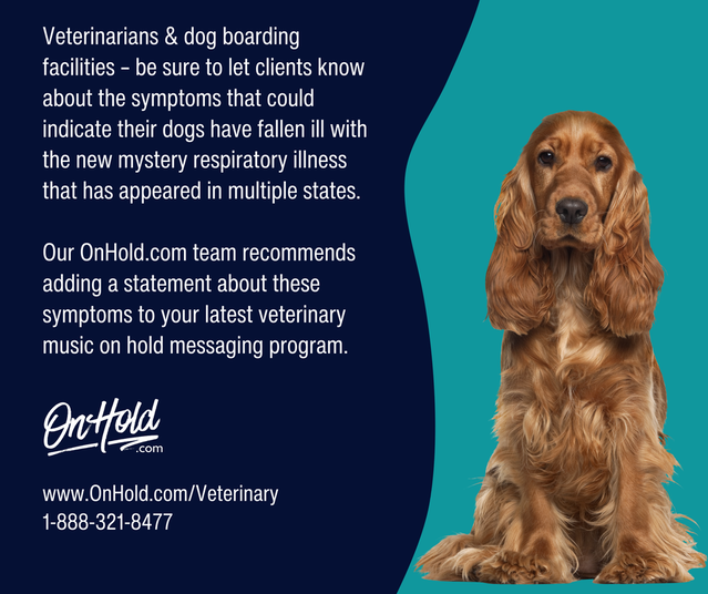 Veterinarians & dog boarding facilities – be sure to let clients know about the symptoms that could indicate their dogs have fallen ill with the new mystery respiratory illness that has appeared in multiple states. Our OnHold.com team recommends adding a statement about these symptoms to your latest veterinary music on hold messaging program.