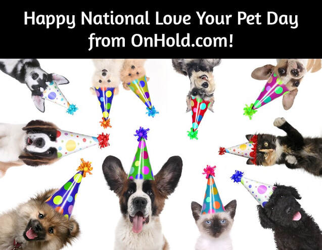 Happy National Love Your Pet Day from OnHold.com!