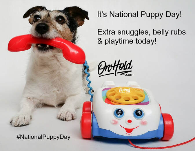It's National Puppy Day!