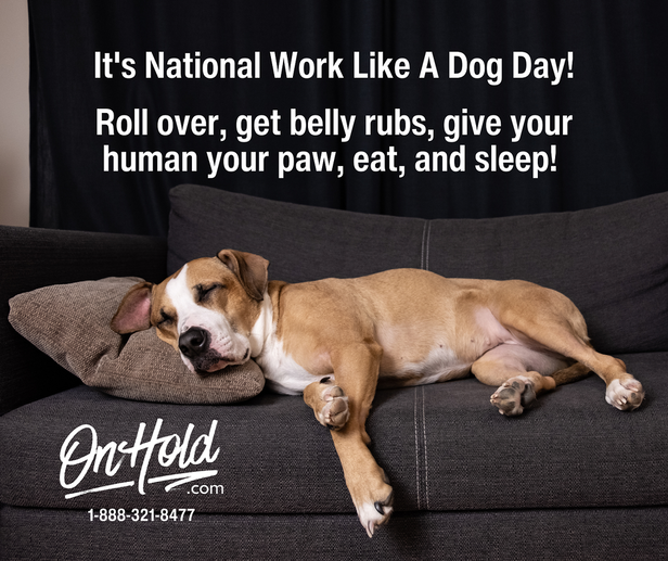 National Work Like A Dog Day