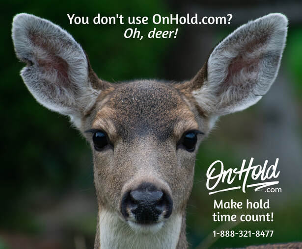  Make hold time count with OnHold.com! 