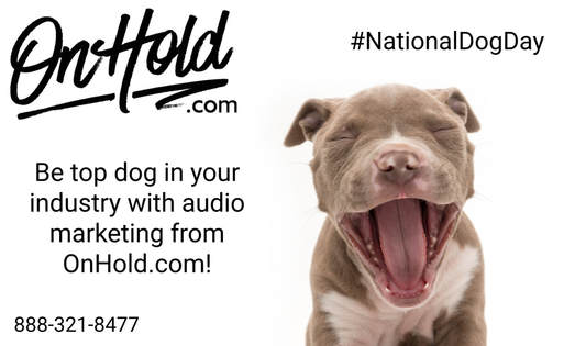 Be Top Dog with OnHold.com