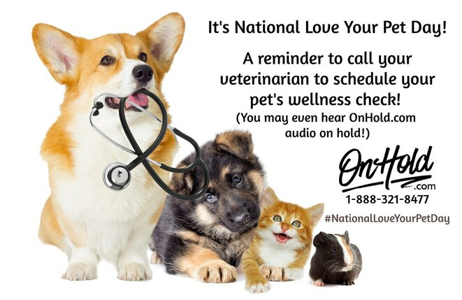 nHold.com National Love Your Pet Day