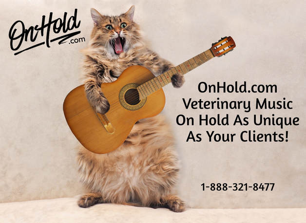 Unique Veterinary Music On Hold from OnHold.com