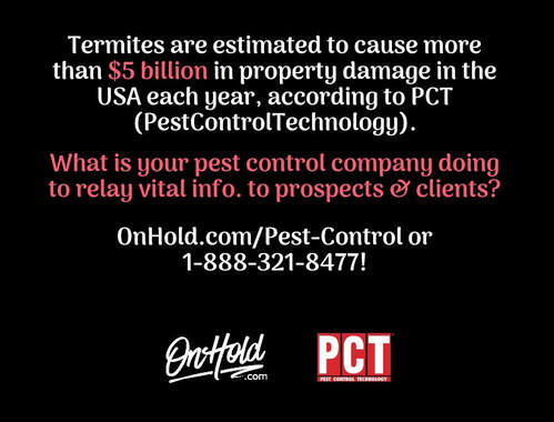 Termites are estimated to cause more than $5 billion in property damage in the USA each year ...