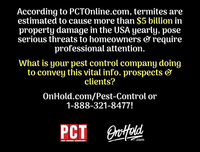 What is your pest control company doing to get information out to prospects & clients?