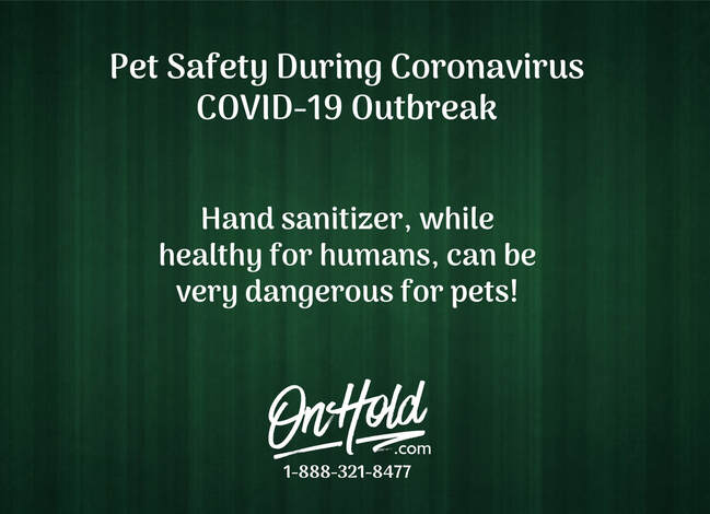Pet Safety During Coronavirus COVID-19 Outbreak