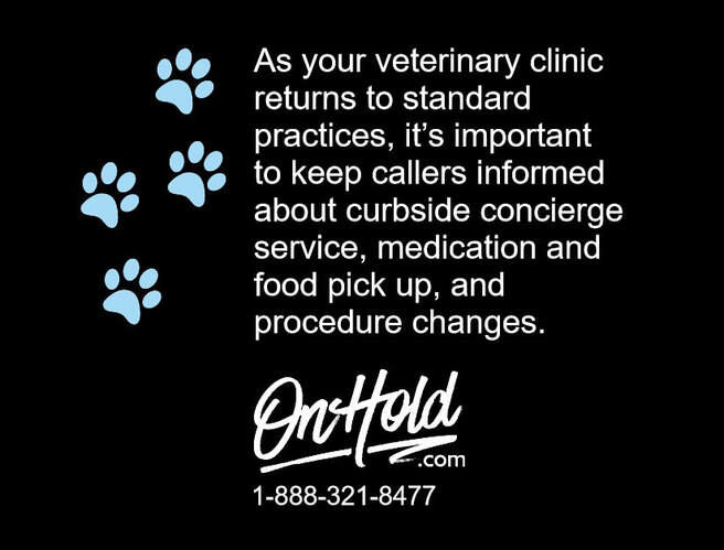 Veterinary clinics need to provide a supportive, and informative, phone experience.