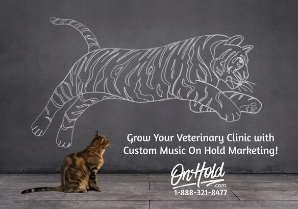 Veterinary Music On Hold Marketing from OnHold.com