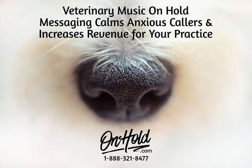 Veterinary Music On Hold Messaging