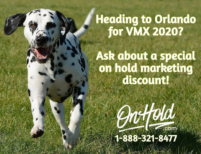 Veterinary Marketing On Hold VMX 2020