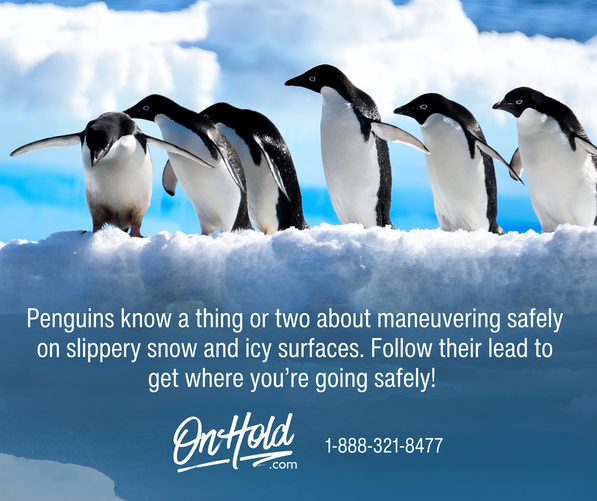 Penguins know a thing or two about maneuvering safely on slippery snow and icy surfaces. Follow their lead to get where you’re going safely!